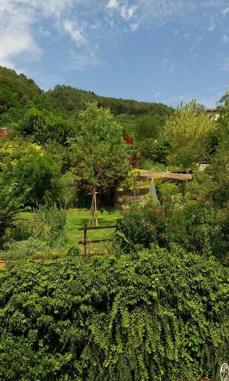 B&B Casa Brunelli Trento Eksteriør billede